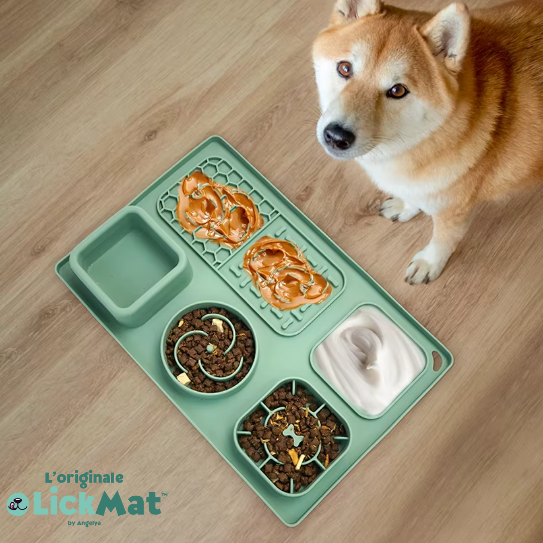 Stimolazione mentale