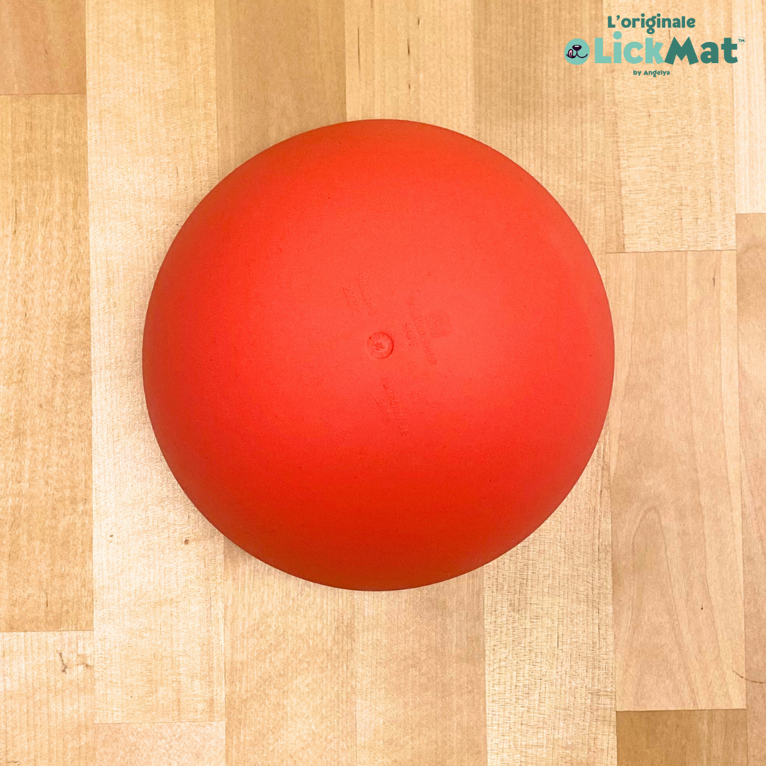 DeepBowl™ – Ciotola Slow Feeding e Anti-Ansia